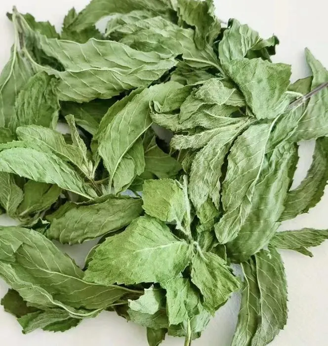 100٪ پودر برگ نعناع ارگانیک خالص 0